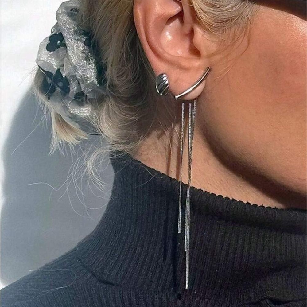 Tassel drop earrings N1158